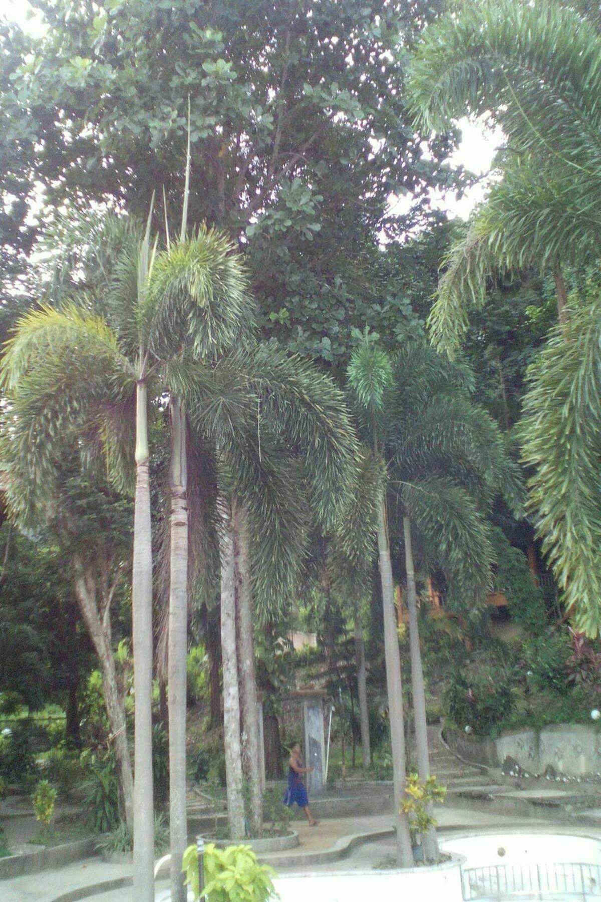 Blanco Hideout Railay - Youth Hostel 18 To 35 Only Exterior foto